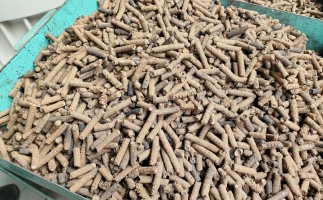 木屑顆粒機(jī)加工的顆粒燃料的環(huán)保優(yōu)勢分析